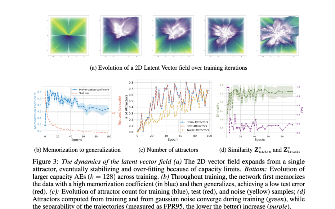 How the potential vector field reveals the internal work of neural autoencoders
